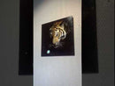 BELLART Tableau en verre - Regard intrépide du tigre